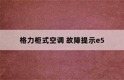 格力柜式空调 故障提示e5